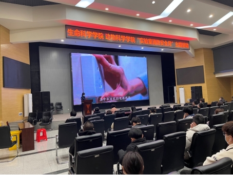 MK体育官方网站